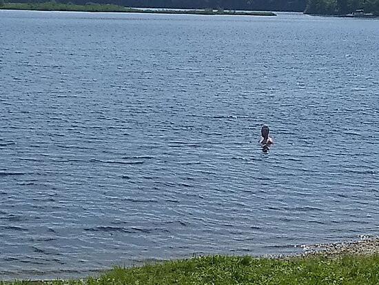 Sadawga Pond-Whitingham必去景点