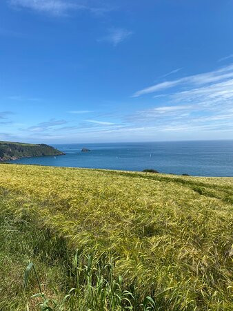 Little Dartmouth & St Petrox Walk on the South West Coast Path景点图片