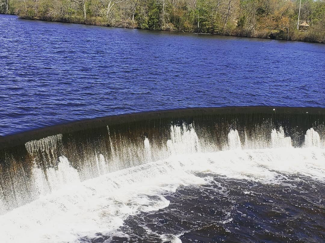 Parvin State Park-Elmer必去景点