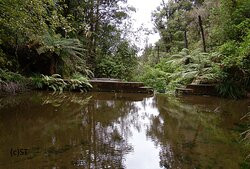 Waterworks Walk-Ngaruawahia必去景点