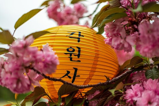 Gagwonsa Temple-天安市必去景点
