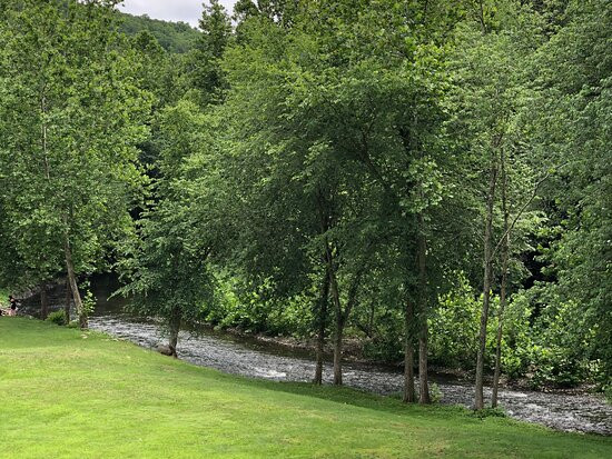 Torne Valley Vineyards景点图片
