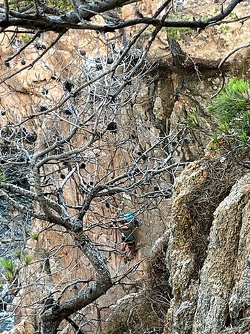 Via Ferrata Cala del Moli-Sant Feliu de Guixols必去景点