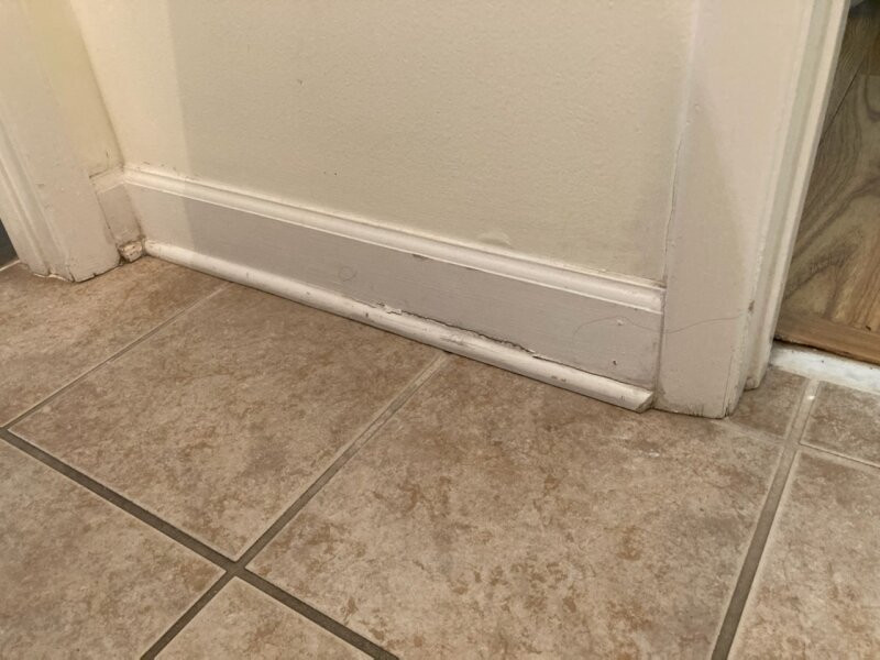 Shell Island Resort主图