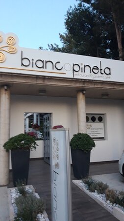 Biancopineta-官方