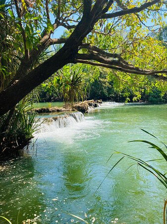 Mataranka Falls-Mataranka必去景点