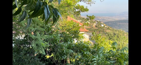 Ohn Bar Guesthouse主图