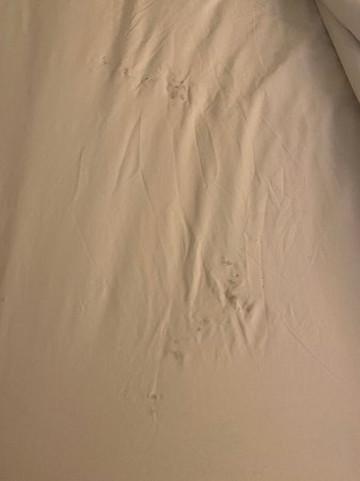 Quality Inn Washington Court House主图