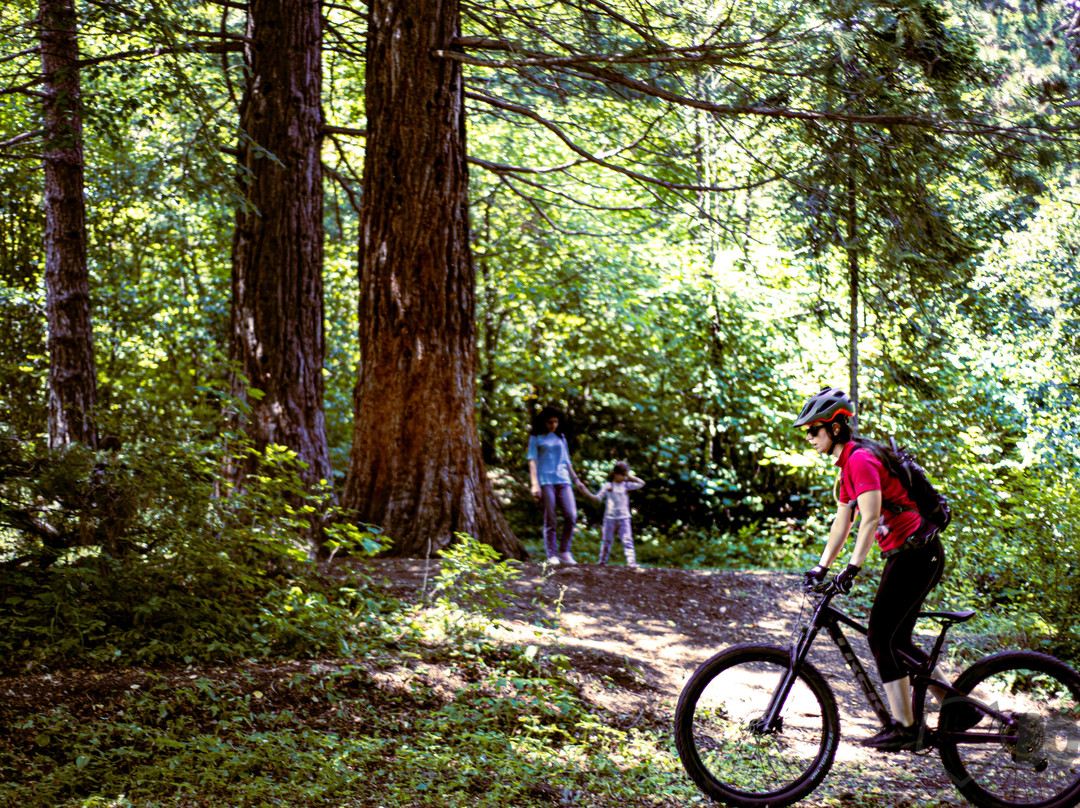 Boo Mountain Bike Park-Vanadzor必去景点