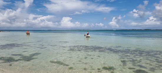 Horse Ranch Bonaire-Kralendijk必去景点