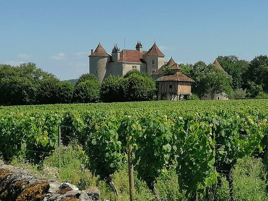 Chateau Lagrezette景点图片