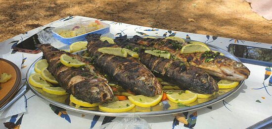 Morocco Unexplored - Private Day Tours-Azrou必去景点