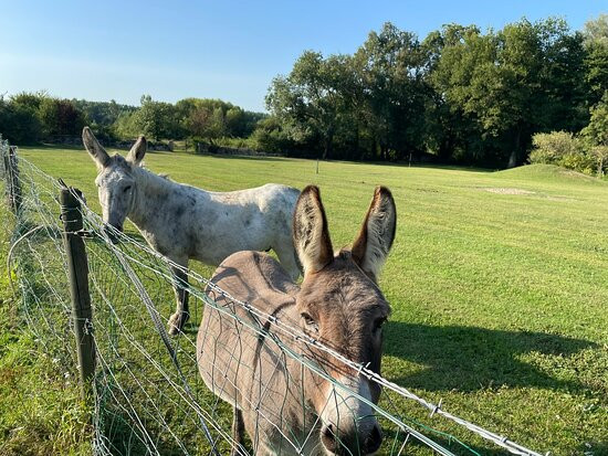 Les Sources de Coulon主图