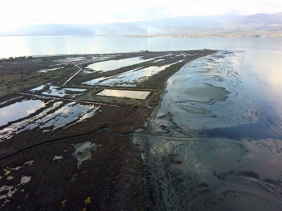 Κοινότητα Αγ. Σεραφείμ Χώρος παρατήρησης πουλιών