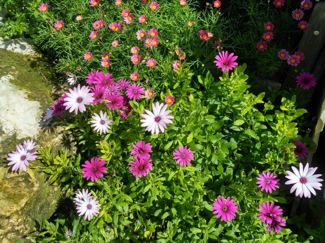 Hilf-Tabash旅游攻略图片