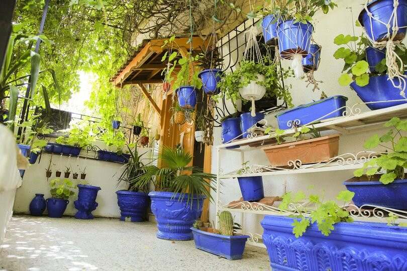 Casa Zitouna- 客人之家 - Kef, 突尼斯