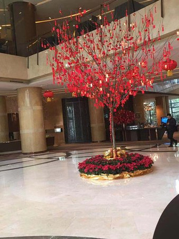 成都首座万丽酒店主图