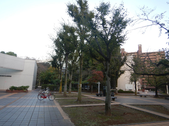 National Medicinal Herb Garden Trace