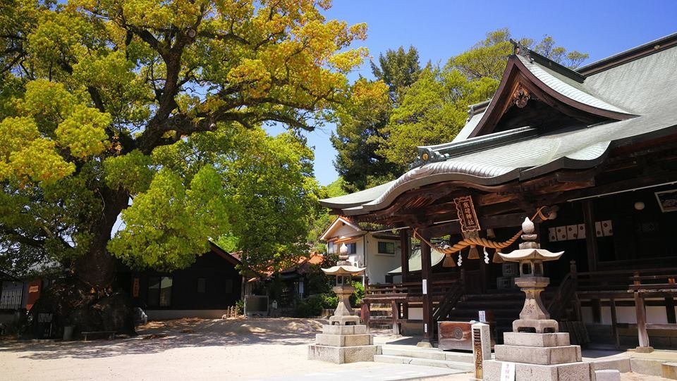 Itosaki Shrine景点图片