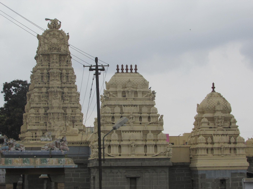 Kachapeshwarar Temple景点图片