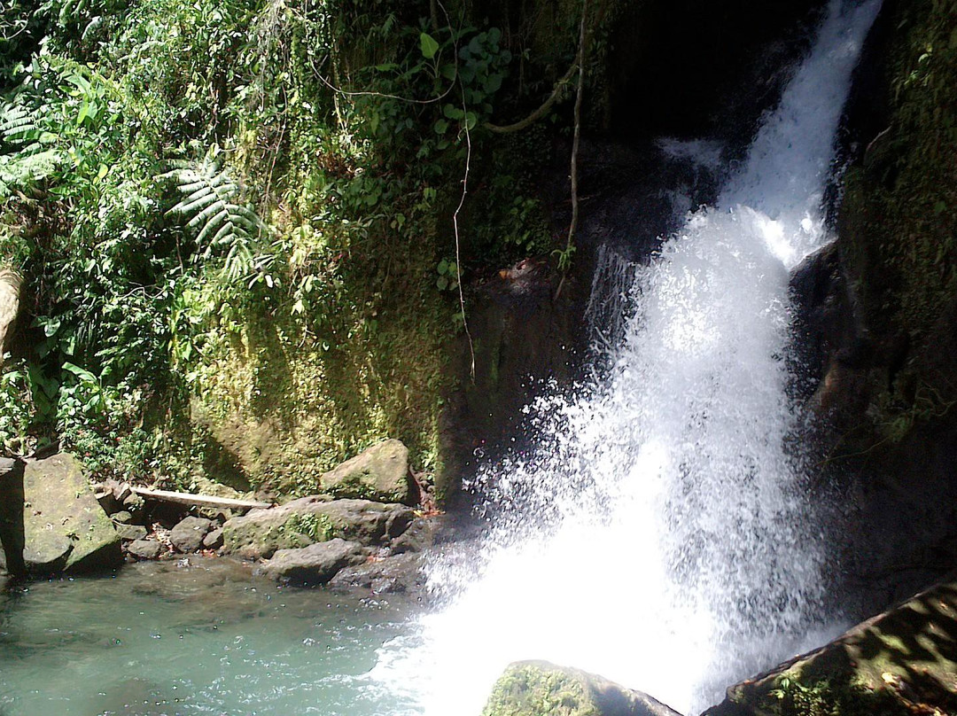 Bayugin Falls景点图片