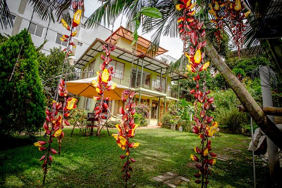 Posada Las Bromelias主图