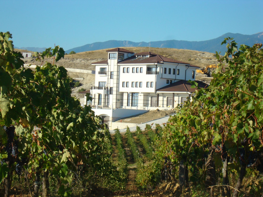 Villa Melnik Winery景点图片