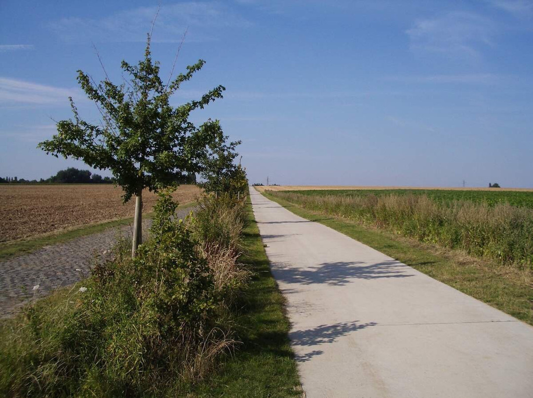 Parc De La Deûle - Espace Naturel Des Périseaux景点图片