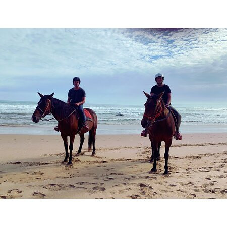 Blazing Saddles-Aireys Inlet必去景点