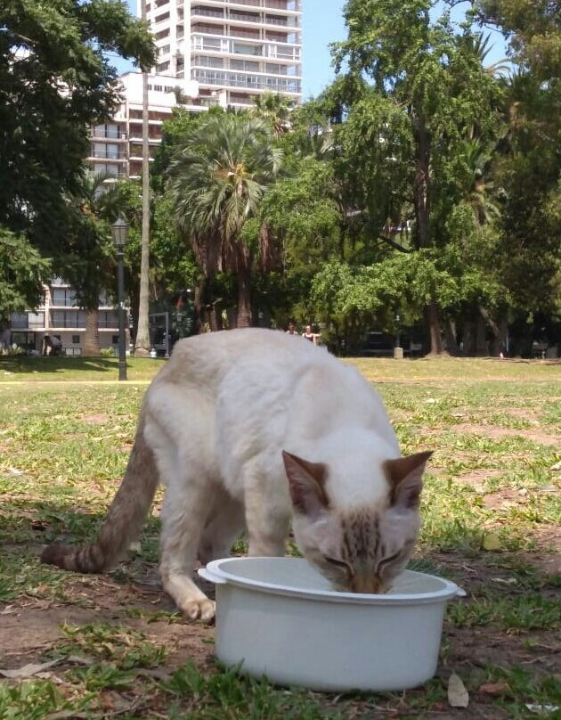 巴勒莫博斯克斯-布宜诺斯艾利斯必去景点
