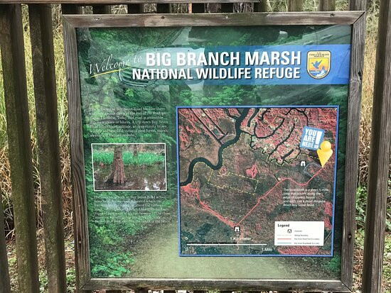 Big Branch Marsh National Wildlife Refuge景点图片