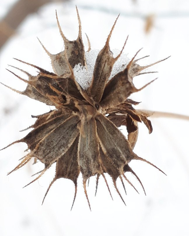 La Barriere Park-La Salle必去景点