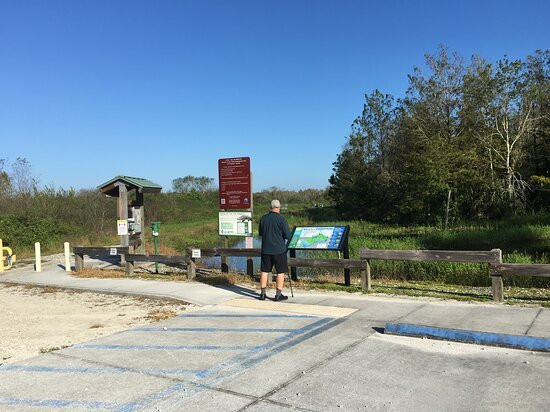 CREW - Bird Rookery Swamp Trails-那不勒斯必去景点