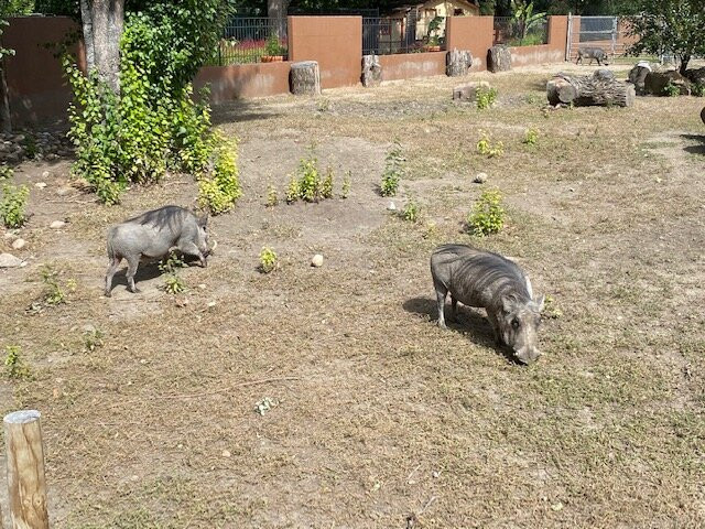Roosevelt Park Zoo-Minot必去景点