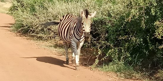 Soul Adventures-约翰内斯堡必去景点