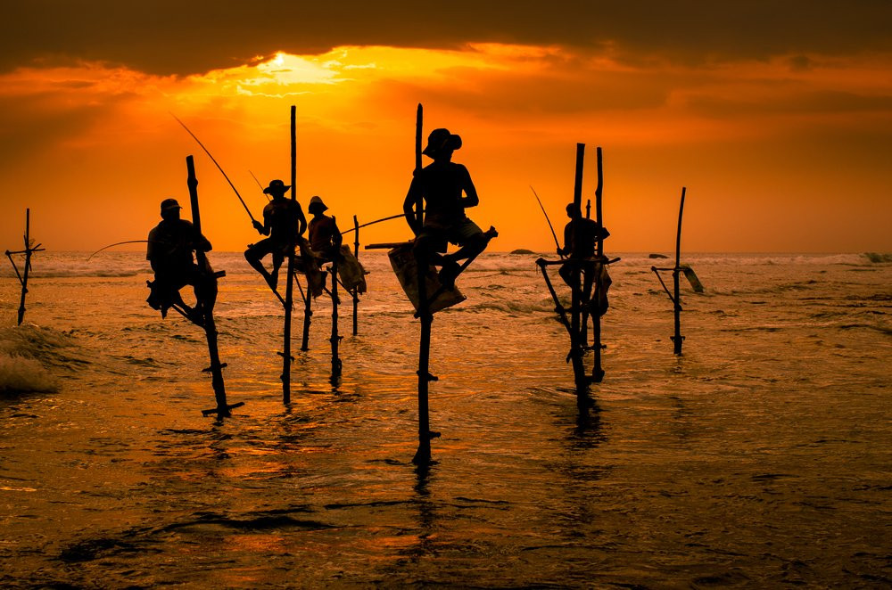 Wonder Sri Lanka Tours景点图片