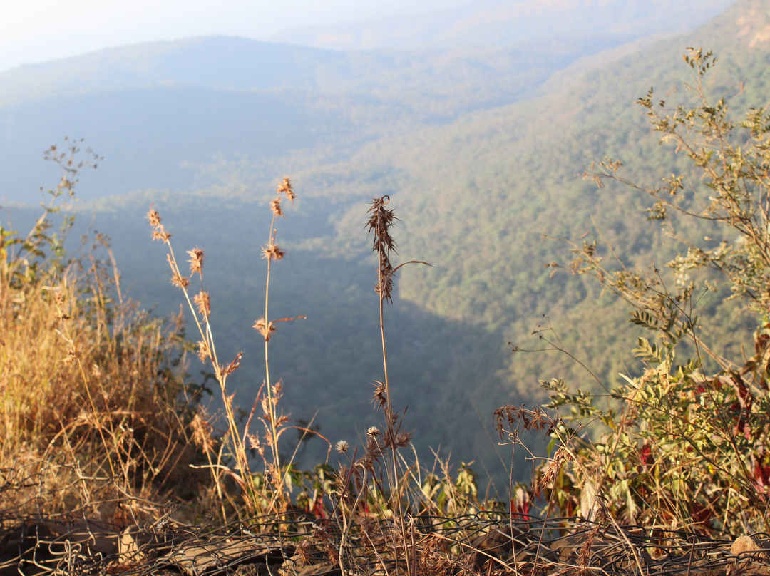 Chilkahrada Wild Life Sanctuary景点图片