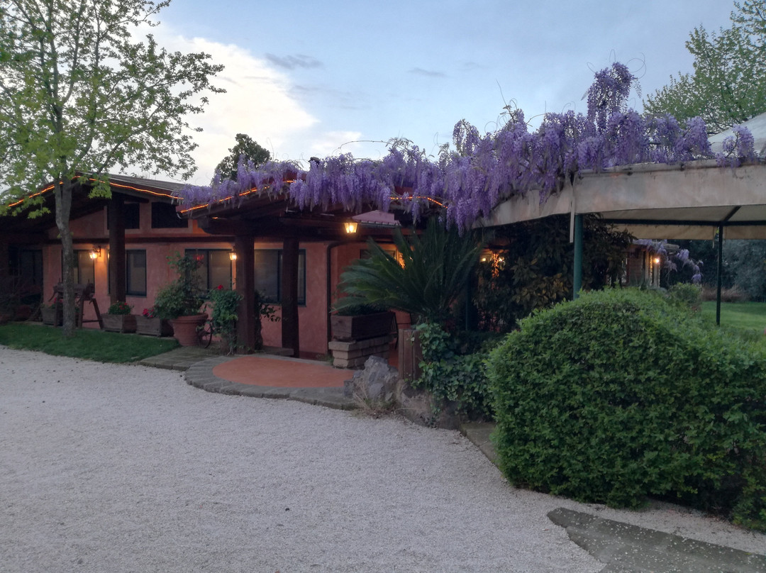 Tragliata餐馆和美食-La Masseria