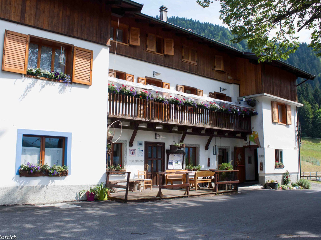 Ravascletto餐馆和美食-Ristorante dell'Abergo Pace Alpina