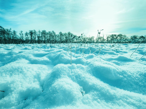 Bohemia旅游攻略图片