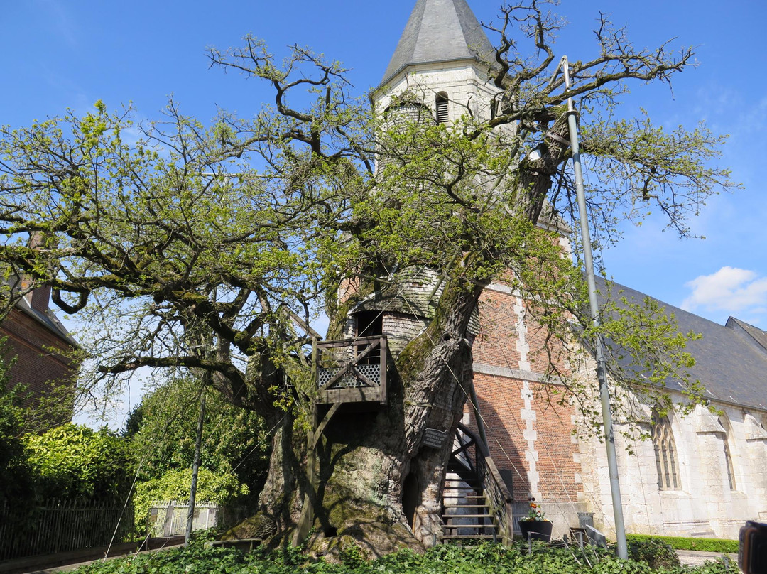 Hericourt-en-Caux旅游攻略图片