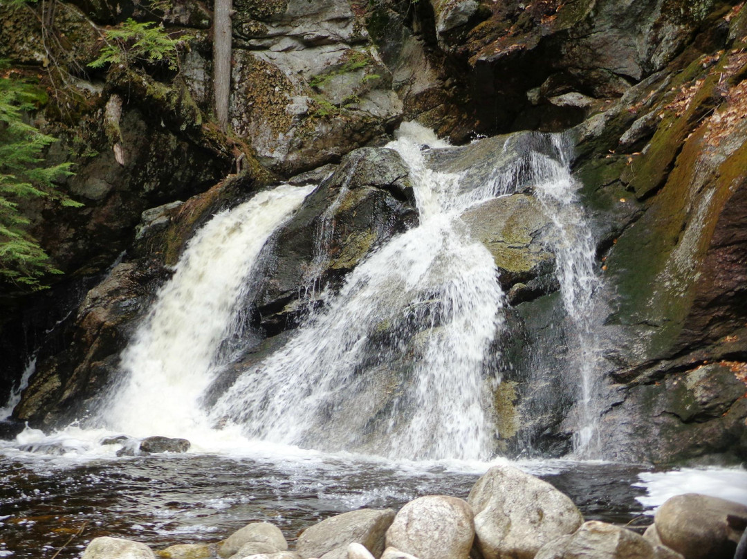 Sutton旅游攻略图片