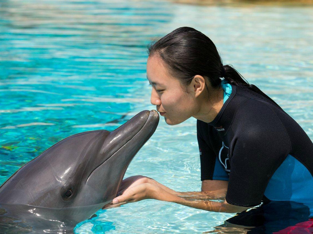 海豚岛-圣淘沙岛必去景点