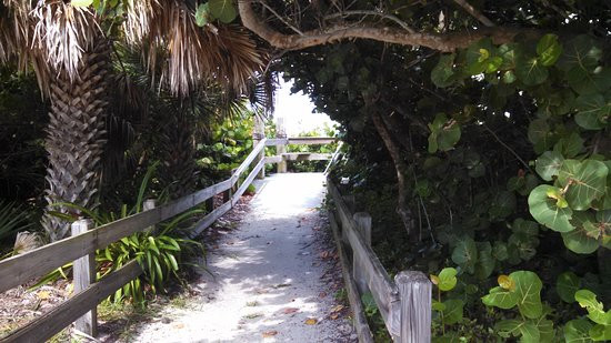 Spessard Holland South Beach Park景点图片