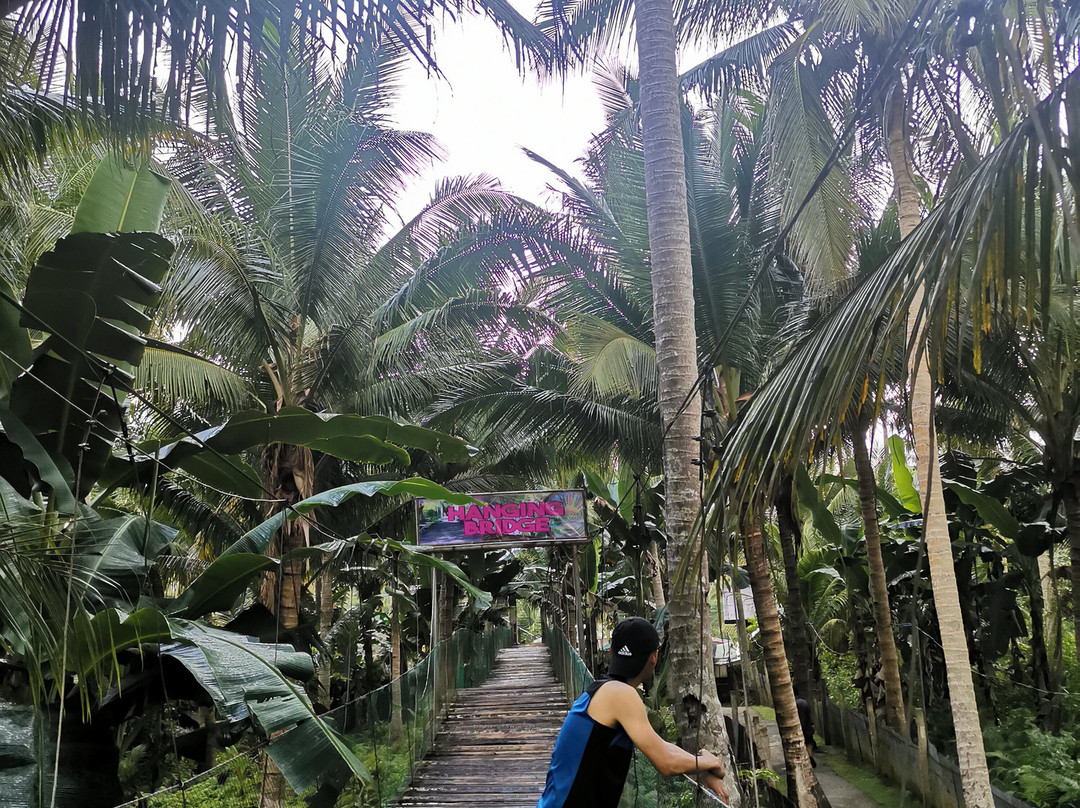 Tinandayagan Falls and Resort景点图片