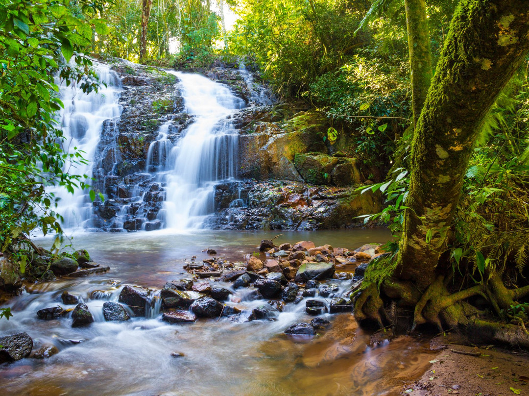 Faxinal旅游攻略图片