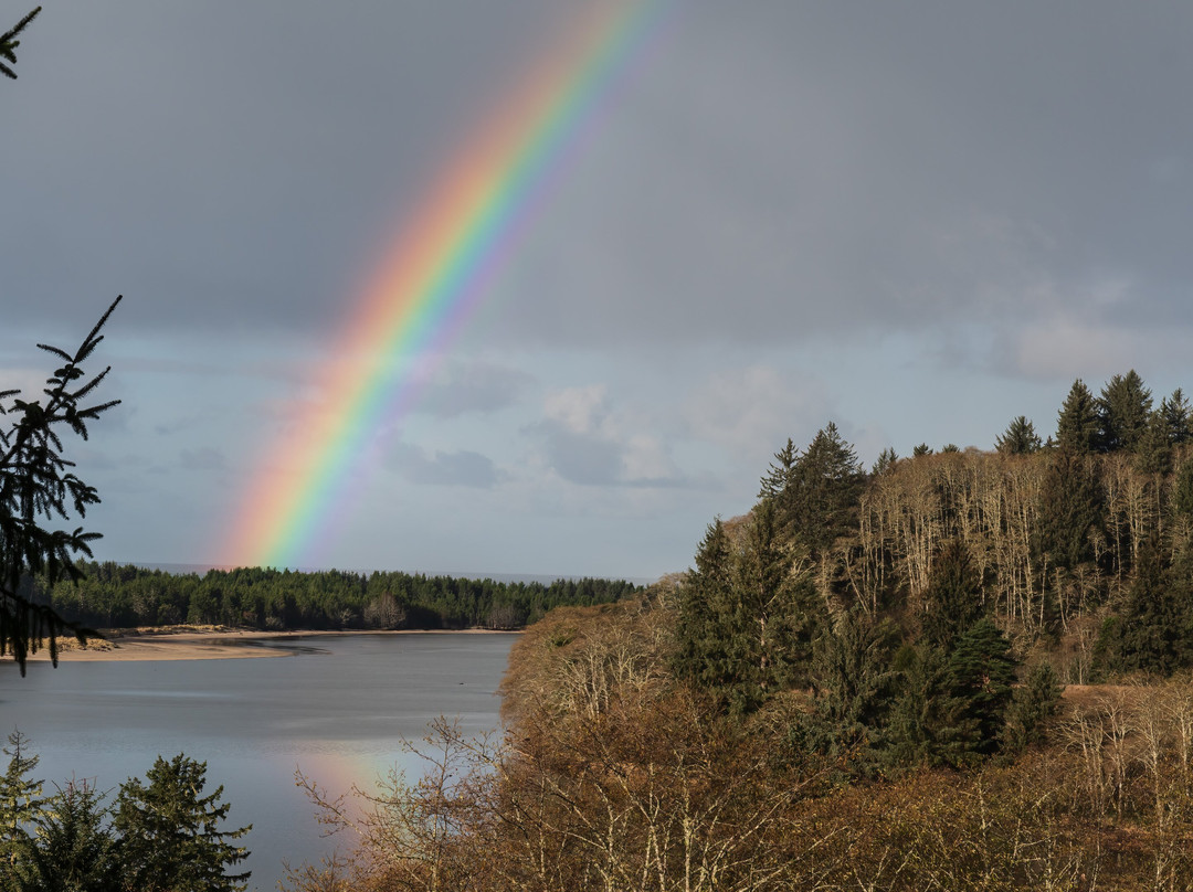 Salmon River Estuary Wooden Kayak Tours