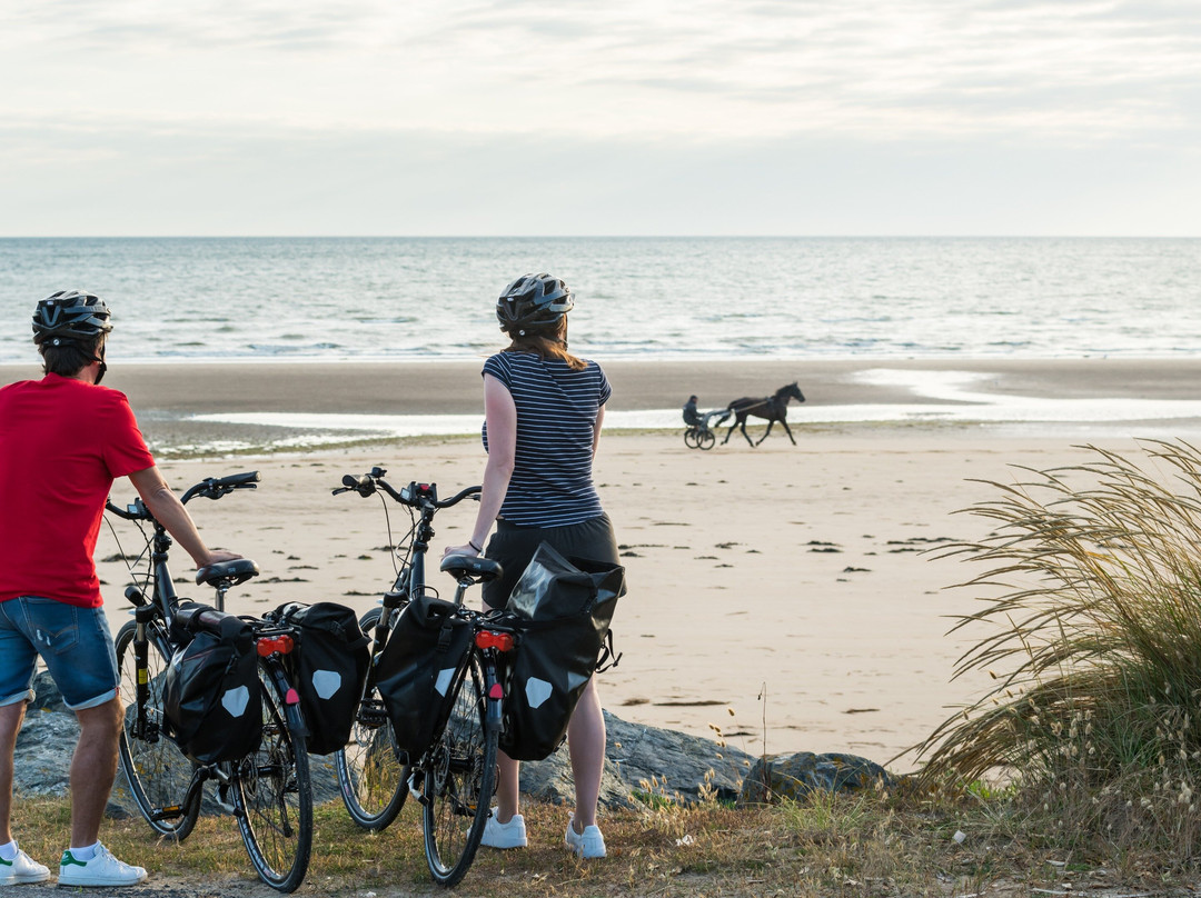 Stations Bee's Grandcamp-Maisy - Location de vélos électriques景点图片