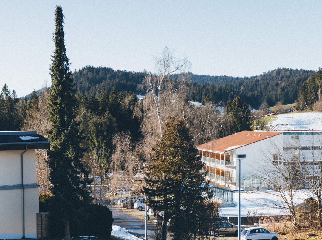 Rosenalm Scheidegg