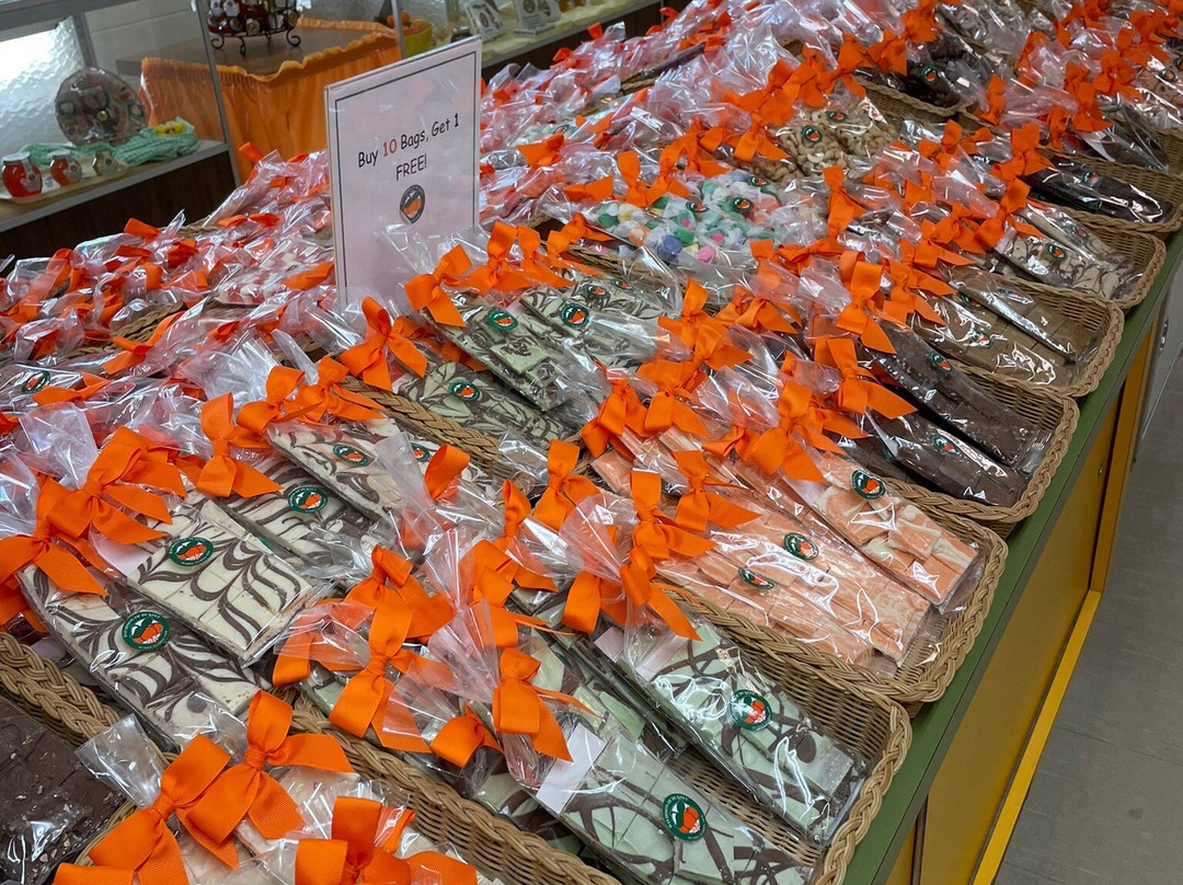 Dundee旅游攻略图片